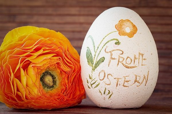 ranunculus-1232290_640